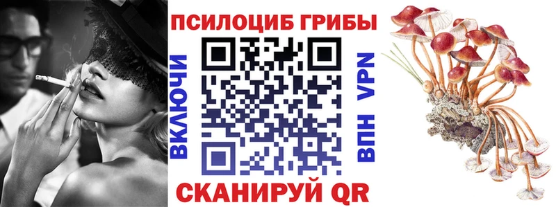 Псилоцибиновые грибы Psilocybe  Кузнецк 