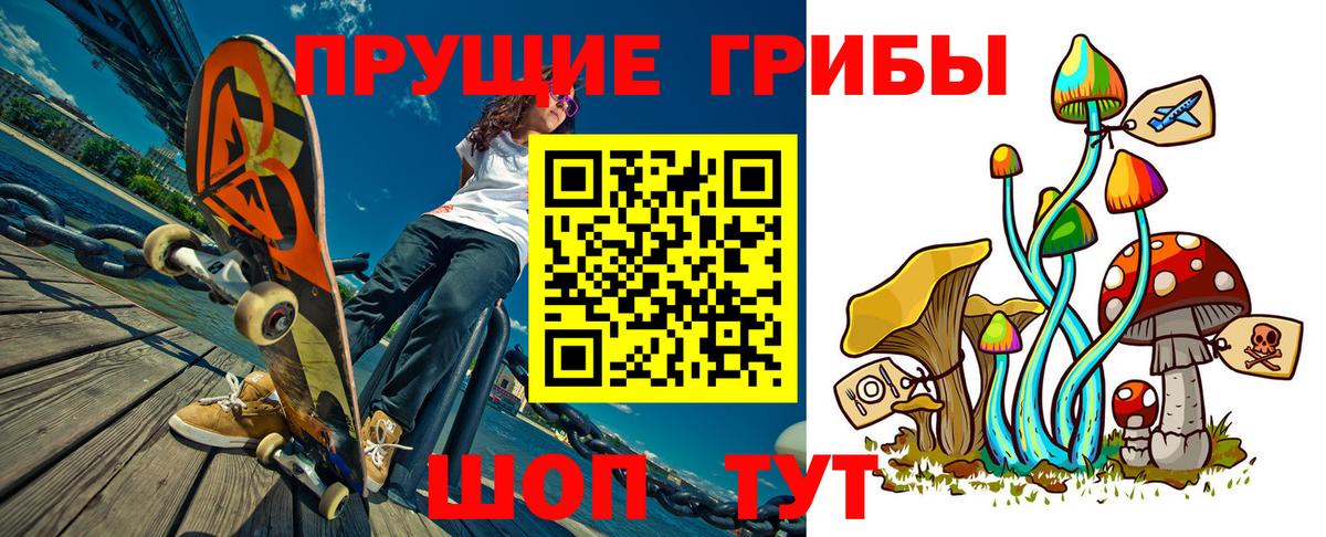 Псилоцибиновые грибы мицелий  Вход с VPN  Кузнецк 