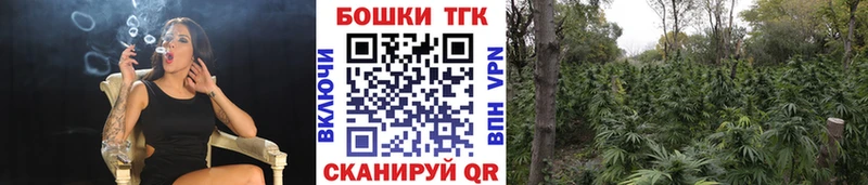 Каннабис конопля  Кузнецк 